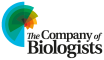 Logo Company of Biologists