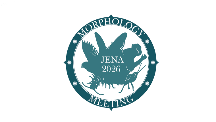 Logo 7th Morpho Meeting