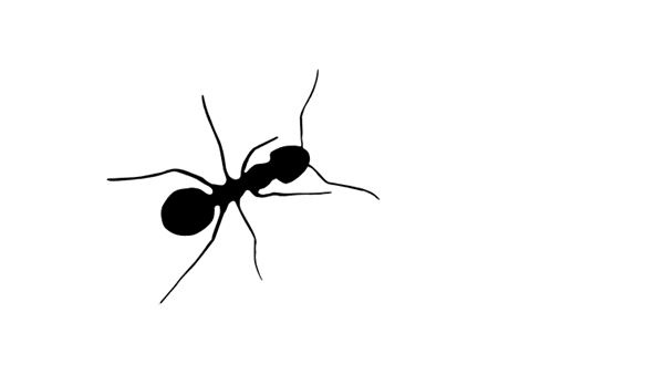 vectorgraphic of an ant