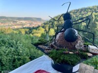 The doctoral hat and behind the landscape around Jena