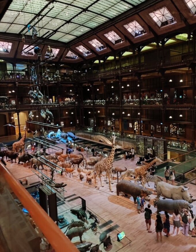 Natural history museum in Paris